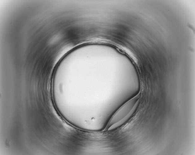 X0000093361007200711081510