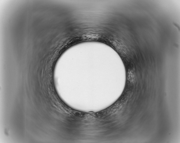X0000093361009200711081510