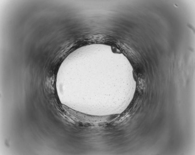 X0000093361010200711081510