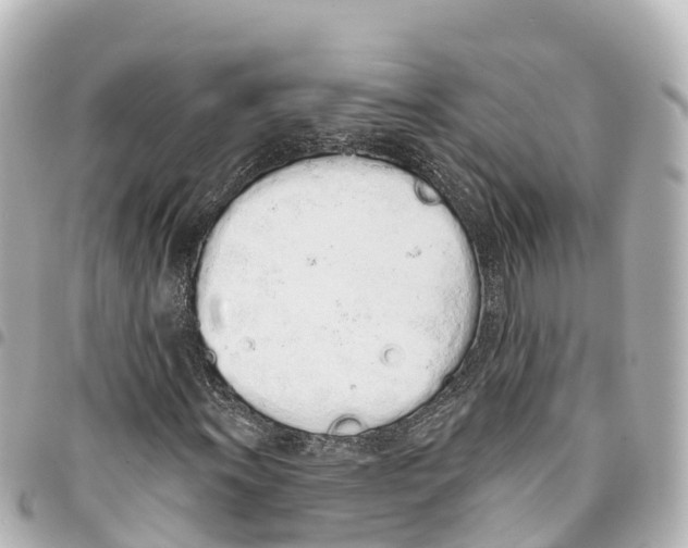 X0000093361011200711081510