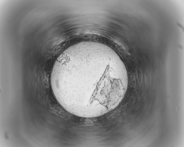 X0000093361013200711081510