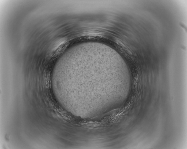 X0000093361014200711081510