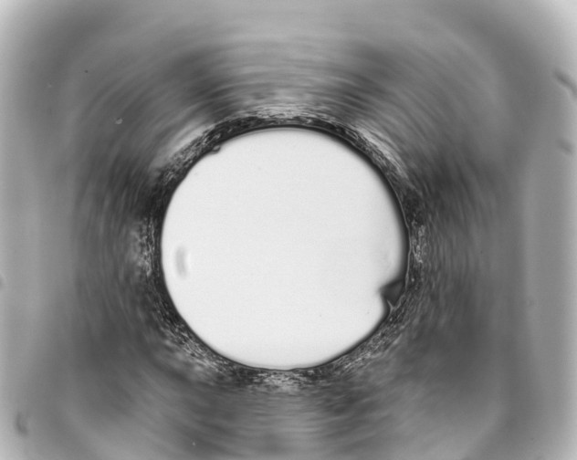 X0000093361015200711081510