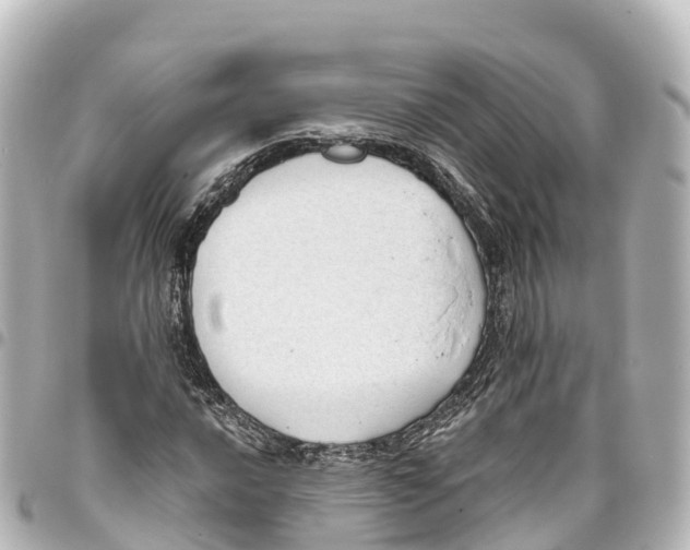 X0000093361016200711081510