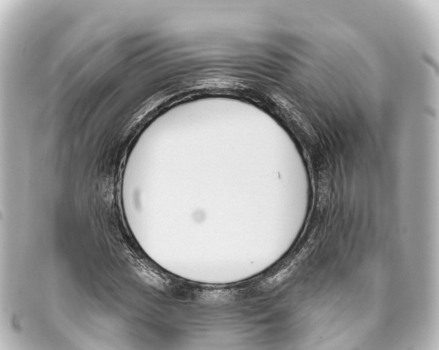 X0000093361017200711081510