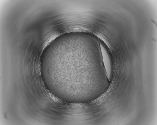 X0000093361018200711081510