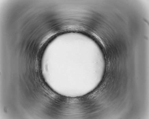 X0000093361019200711081510