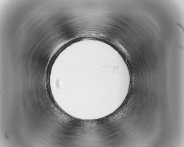 X0000093361020200711081510