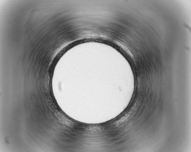 X0000093361021200711081510