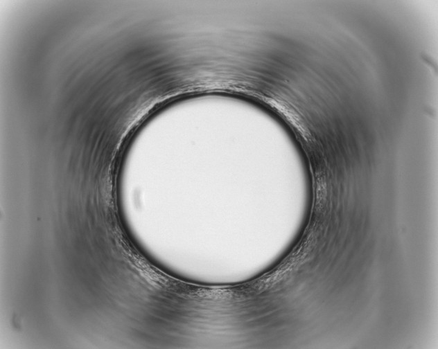X0000093361023200711081510