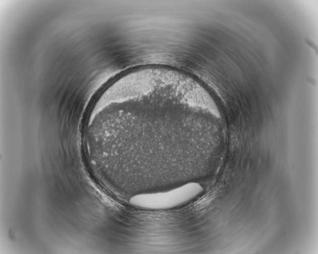 X0000093361024200711081510