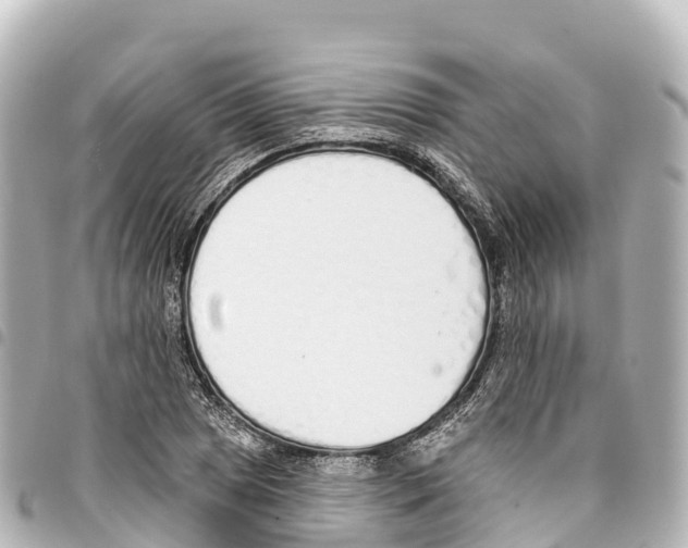 X0000093361025200711081510