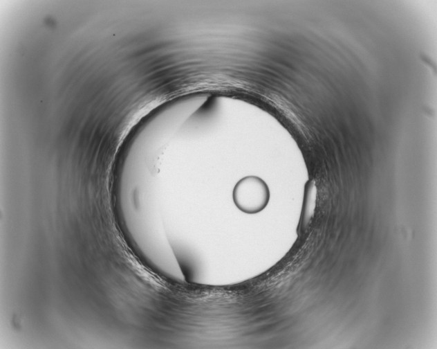 X0000093361026200711081510