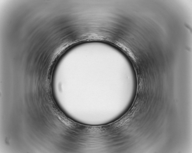 X0000093361027200711081510