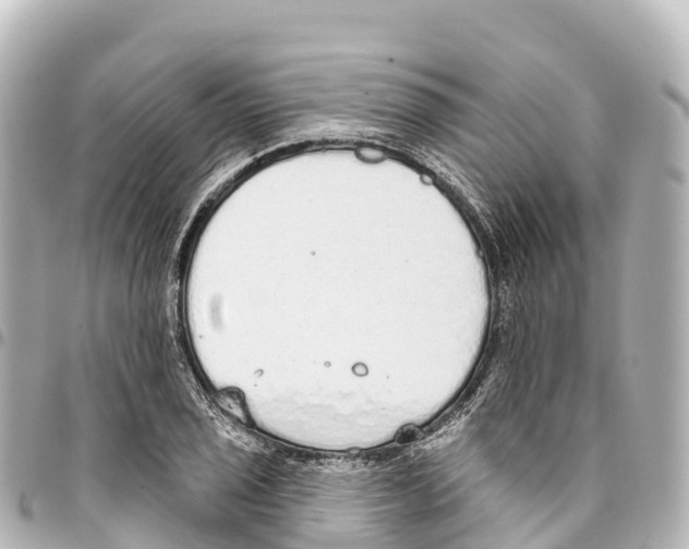 X0000093361029200711081510