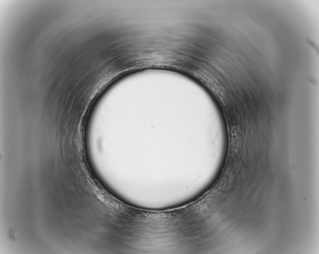 X0000093361031200711081510