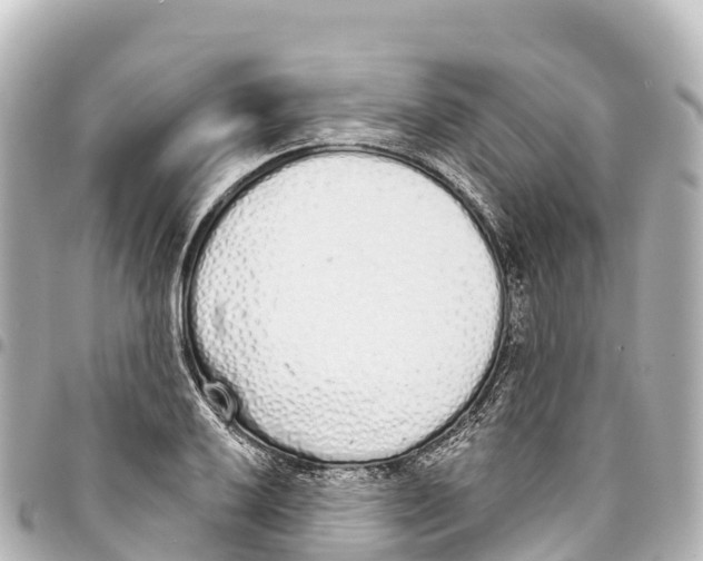 X0000093361032200711081510