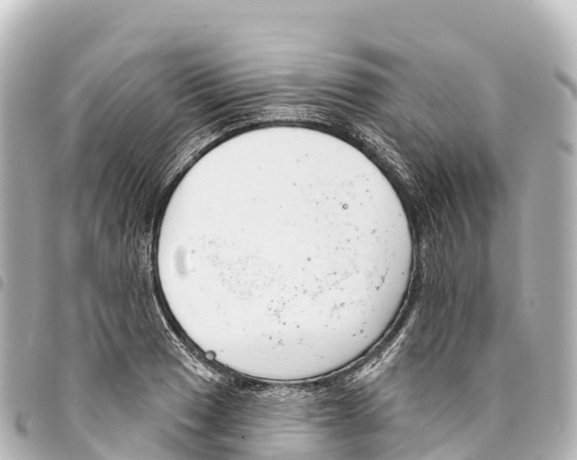 X0000093361033200711081510