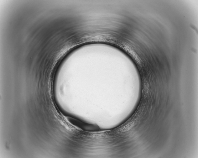X0000093361035200711081510