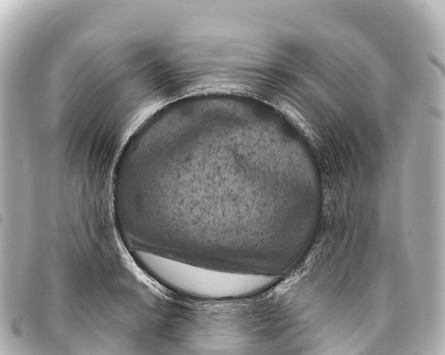 X0000093361038200711081510