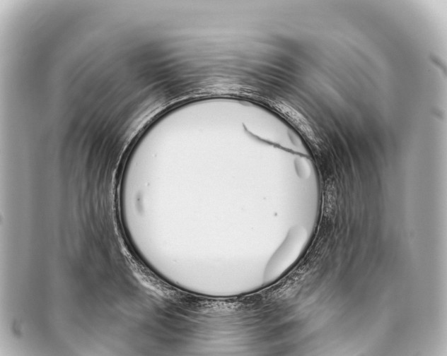 X0000093361039200711081510