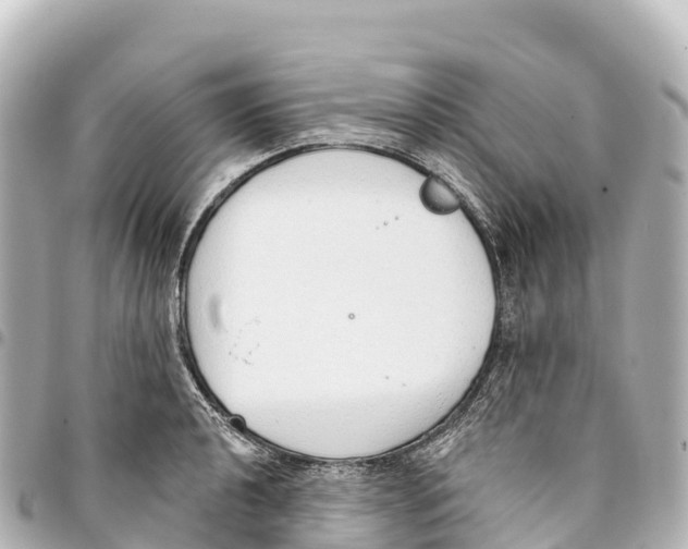 X0000093361040200711081510