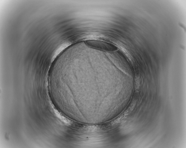X0000093361042200711081510