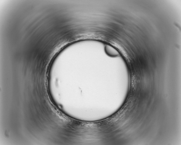 X0000093361043200711081510