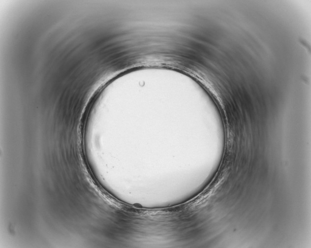 X0000093361045200711081510