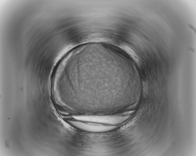 X0000093361046200711081510