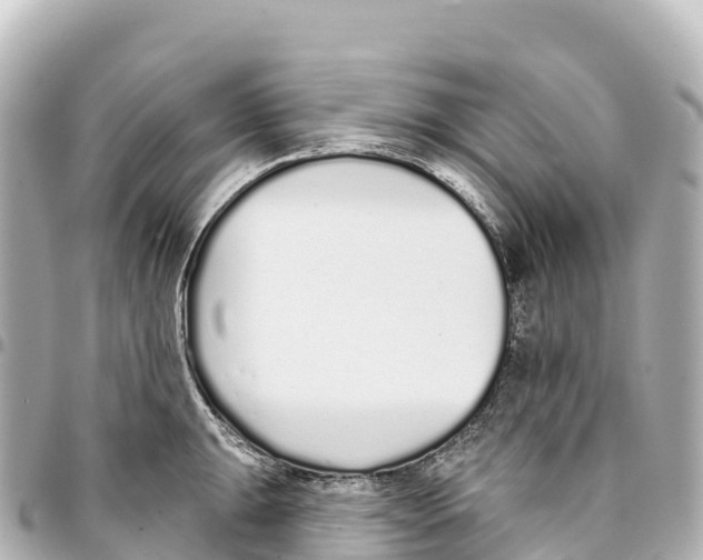 X0000093361047200711081510