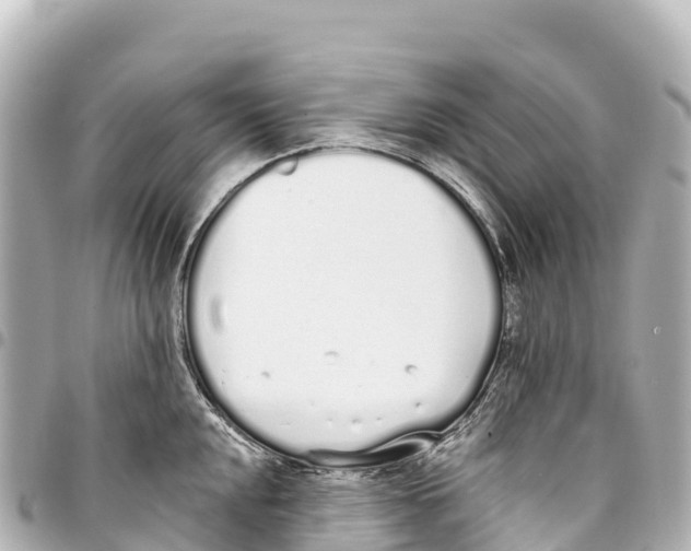 X0000093361048200711081510