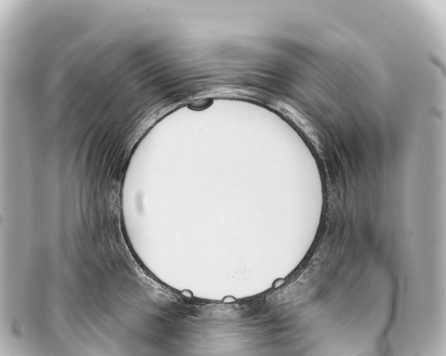 X0000093361049200711081510