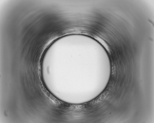 X0000093361051200711081510