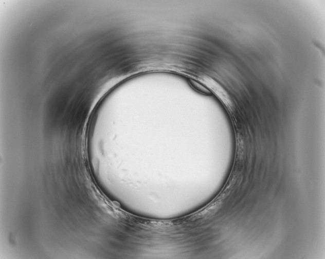 X0000093361052200711081510