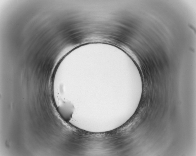 X0000093361053200711081510