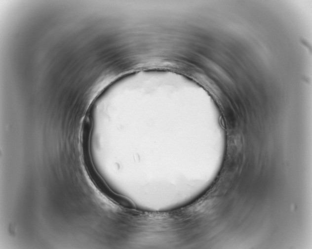 X0000093361055200711081510