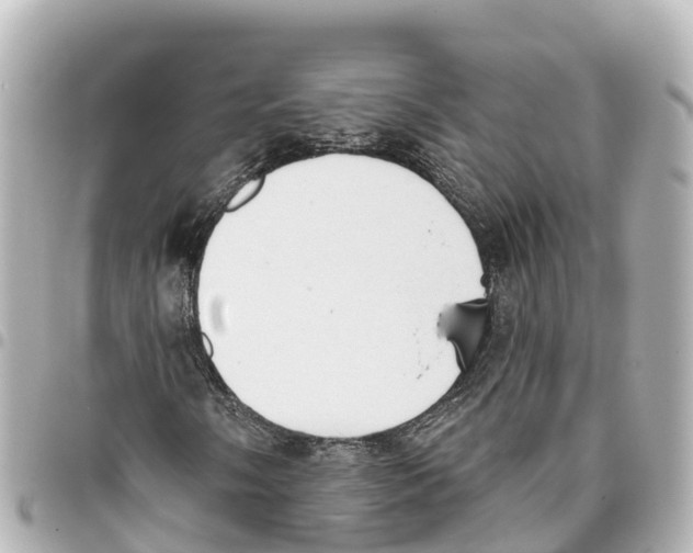 X0000093361058200711081510