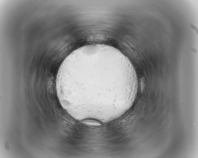 X0000093361059200711081510