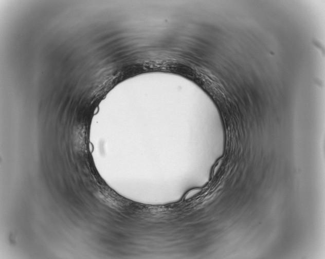 X0000093361060200711081510