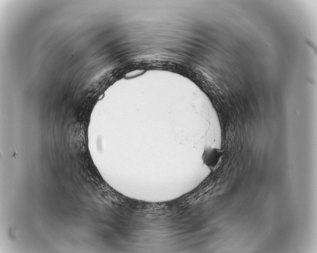 X0000093361062200711081510
