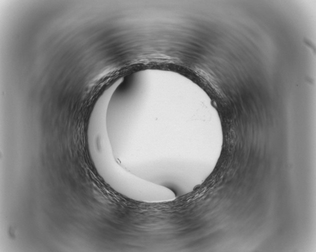 X0000093361063200711081510