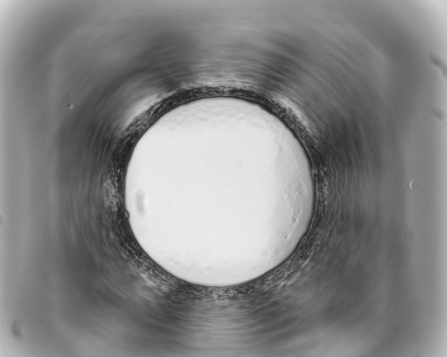 X0000093361064200711081510