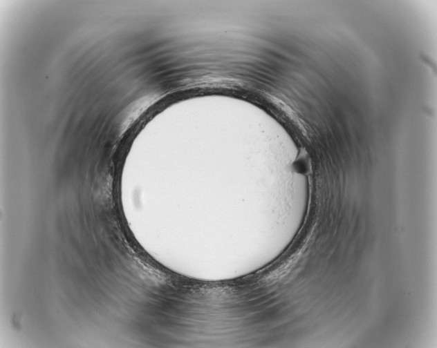 X0000093361066200711081510
