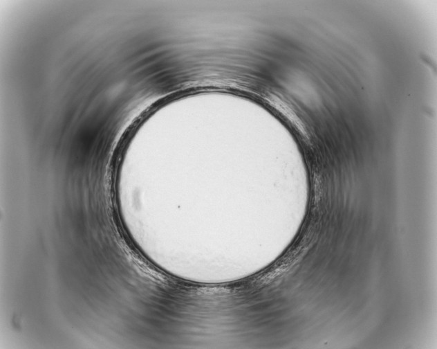 X0000093361068200711081510