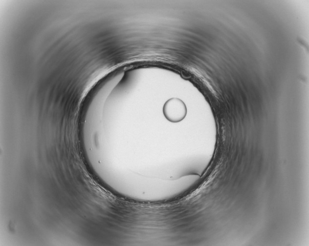 X0000093361069200711081510