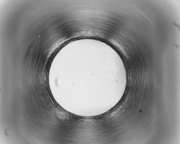 X0000093361070200711081510