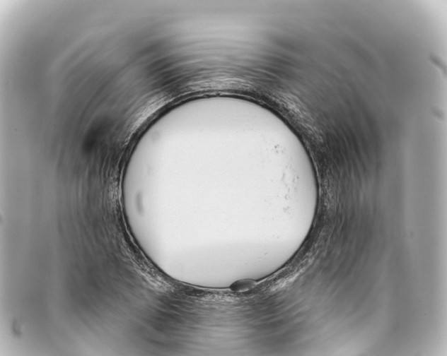 X0000093361073200711081509