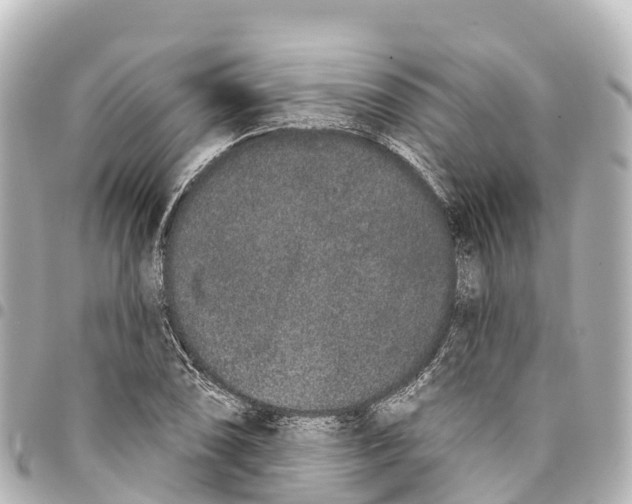 X0000093361074200711081509