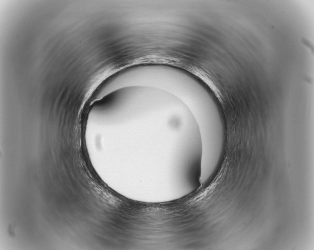 X0000093361075200711081509